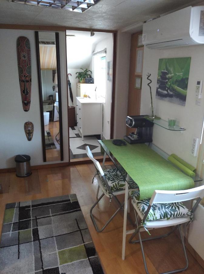 Apartment " Studio Green " Free Parking, Self Check-In ザグレブ エクステリア 写真